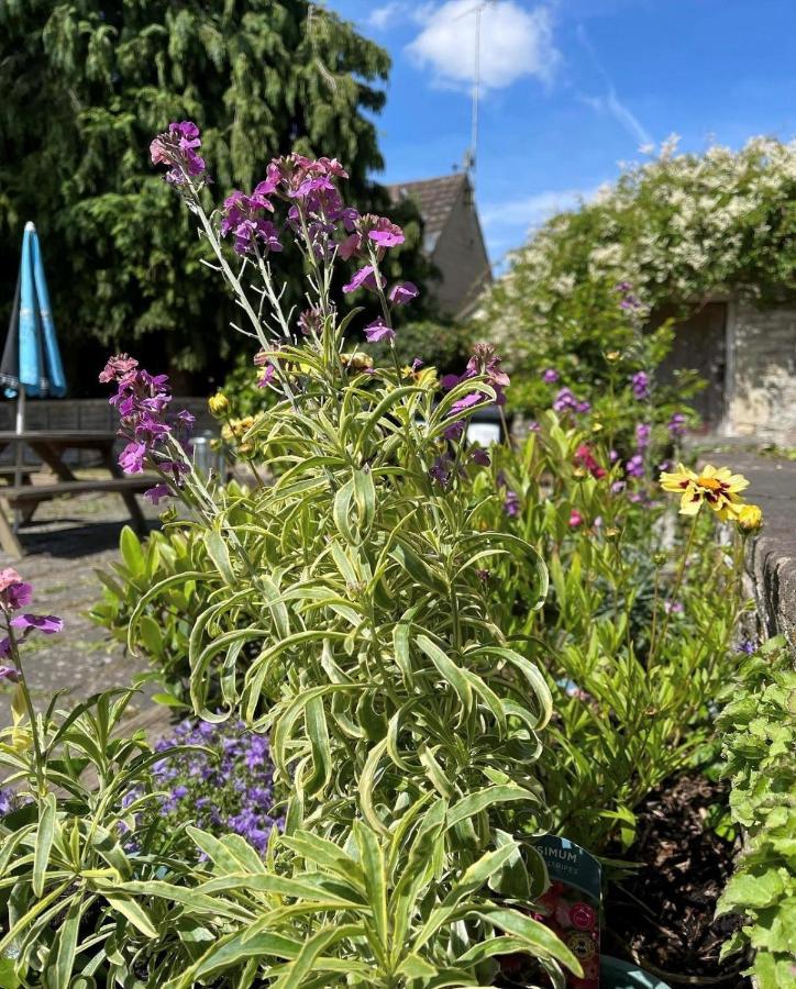 The Bell At Old Sodbury Otel Chipping Sodbury Dış mekan fotoğraf